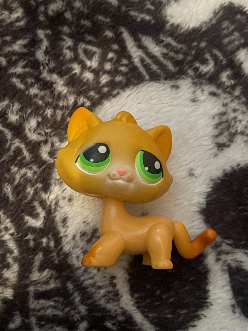 LPS cat
